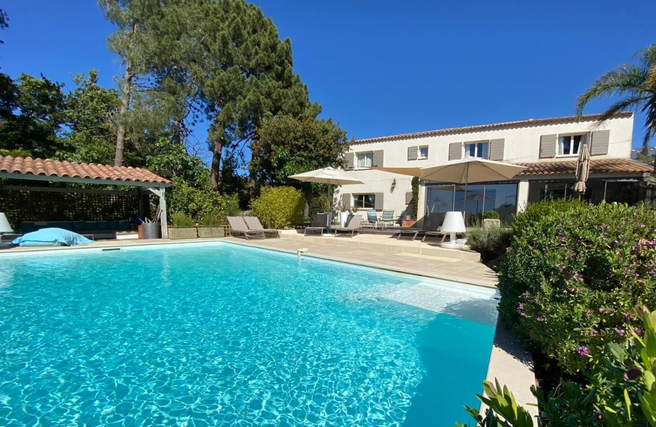 Villa Limone, Maison D'Hotes Calenzana Kültér fotó